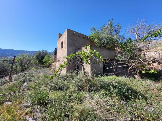 SE VENDE TERRENO CON ALMACEN Y OLIVOS EN ABRUCENA photo 0