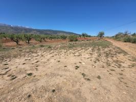 SE VENDE PARCELA RUSTICA EN ABRUCENA  ZONA CAMPILLO photo 0