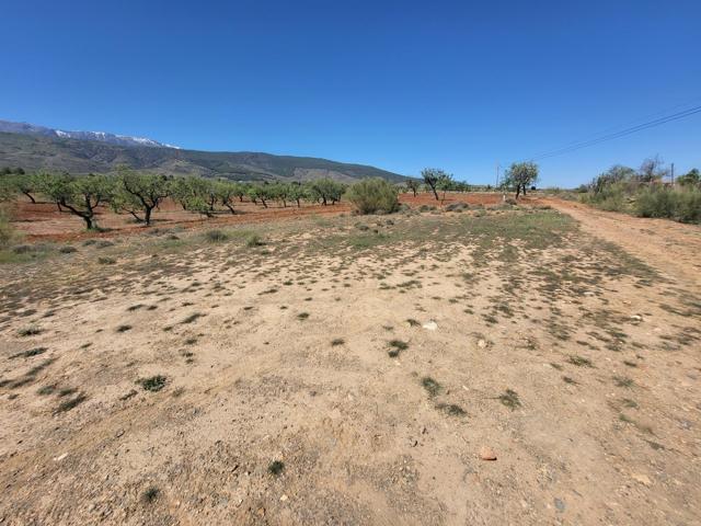 SE VENDE PARCELA RUSTICA EN ABRUCENA  ZONA CAMPILLO photo 0