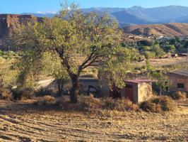 SE VENDE TERRENO EN LA HUERTEZUELA CON POZO PROPIO Y BALSA photo 0