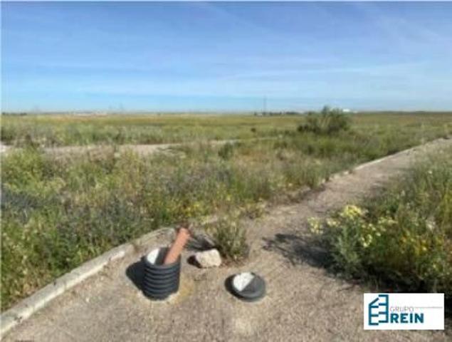 LOTE DE PARCELAS DE 300 M2 EN LA CALLE SC.LA UNQUERILLA, NUMANCIA DE LA SAGRA, TOLEDO photo 0