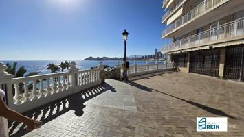 EL MEJOR LOCAL EN EL MIRADOR DE BENIDORM!! photo 0