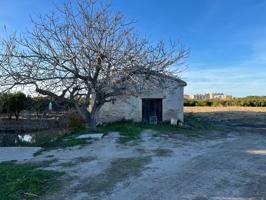 Casita agricola entre Piles y Miramar de 26 metros con 3693 de parcela agrícola photo 0