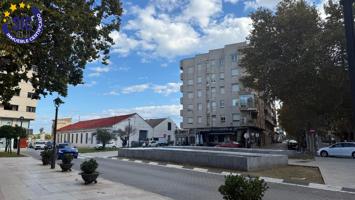 La importancia de vivir en el paseo de Oliva photo 0