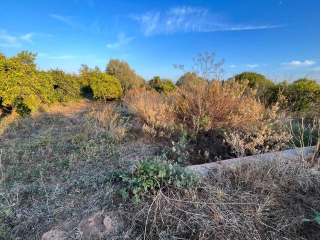TERRENO AGRARÍO EN, CASTELLÓN, ZONA CAMINO DE LA PLANA photo 0