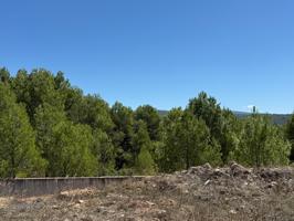 Parcela en Banyeres de Mariola – La Pedrera photo 0