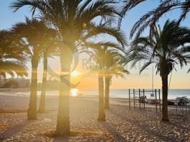 Escápate al mar: El Campello te espera photo 0