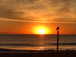 Inmejorable oportunidad de INVERSION EN CAMPELLO photo 0