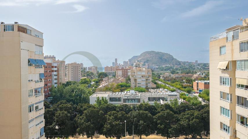 PISO EN MUY BUENA ZONA DE ALICANTE. photo 0