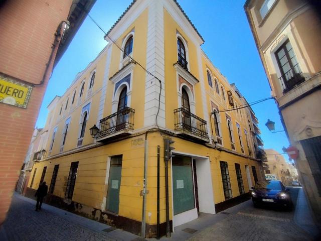 ACTIVO BANCARIO. VIVIENDA SEÑORIAL EN PLENO CENTRO DE BADAJOZ. photo 0