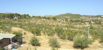 Impresionante terreno urbanizable y actualmente con producción de olivos en Caravaca de la Cruz photo 0