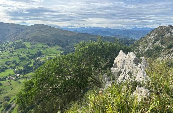 ¡Parcela con encanto para construir! photo 0