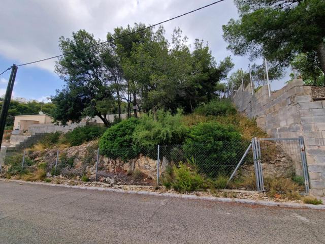 TERRENO URBANIZABLE EN LOS JARDINES DE COSTA CUNIT photo 0
