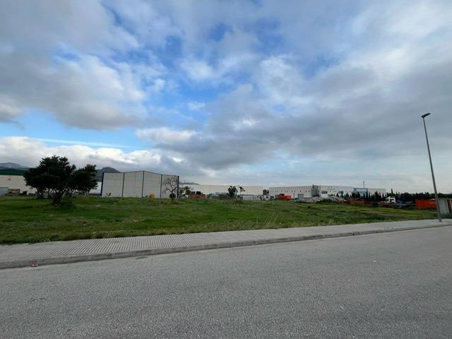 ¡OPORTUNIDAD ÚNICA! PARCELA INDUSTRIAL EN XERESA (VALENCIA) – 7.250m² photo 0