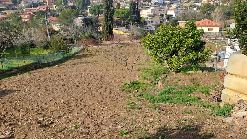 EL VALLE DE LOS SUEÑOS photo 0