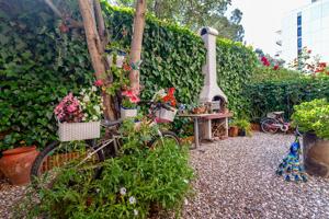 EL JARDIN DE LOS DIAS BONITOS photo 0