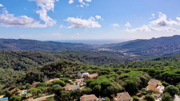 Con vistas al parque Natural photo 0