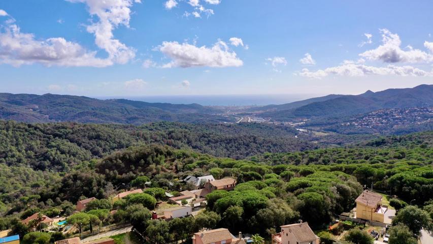 Con vistas al parque Natural photo 0