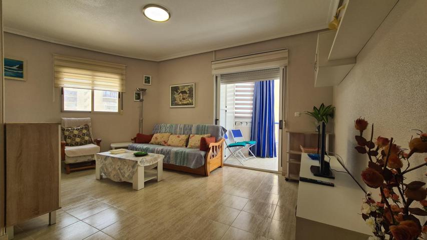 Alquiler de apartamento en Arenales del Sol photo 0