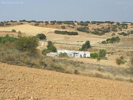 Preciosa finca de 50.000 m2 con casa photo 0