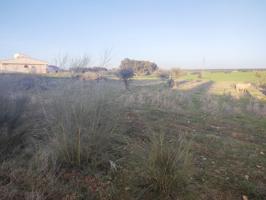 PARCELA VALLADA DE 5.700 m2 EN URBANIZACIÓN DEHESILLA DE CALAMÓN photo 0