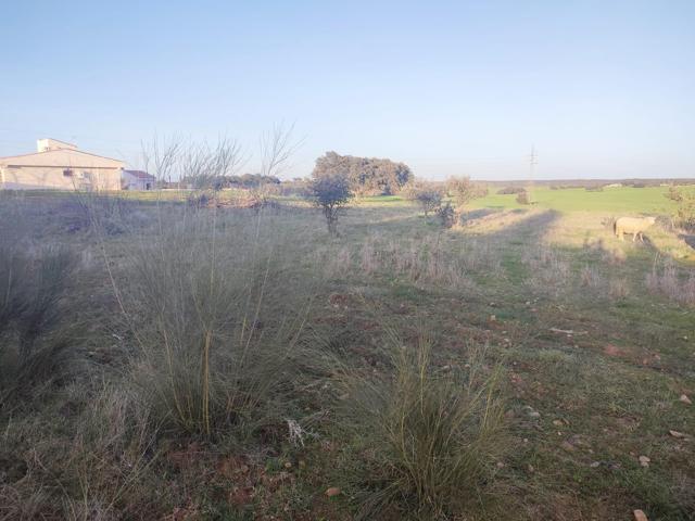 PARCELA VALLADA DE 5.700 m2 EN URBANIZACIÓN DEHESILLA DE CALAMÓN photo 0