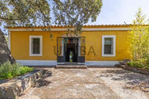 🏡 Casa en venta en Fuente del Arco (Llerena) photo 0