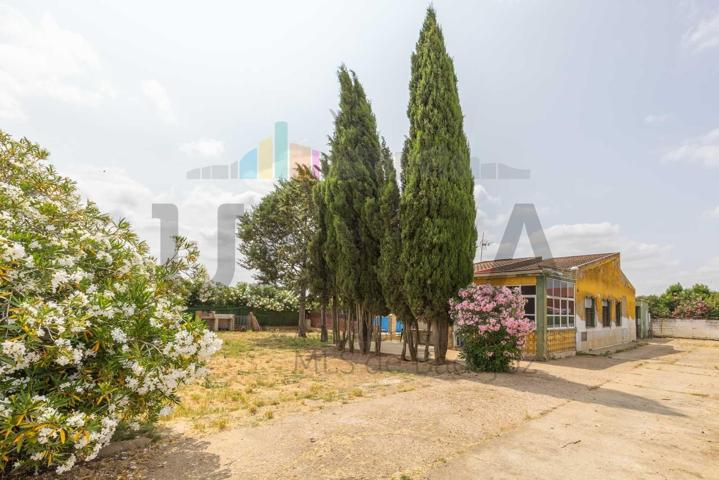 GRAN TERRENO EN VENTA PARA INVERTIR EN LA CARRETERA DE LA CORTE photo 0