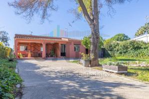 🌳 Vida familiar, naturaleza y bienestar en el COI🏡 photo 0