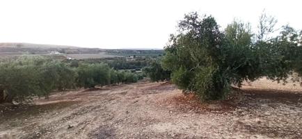 Terreno en Villatorres, al sitio Pozo de la Teja, Polígono 508 photo 0