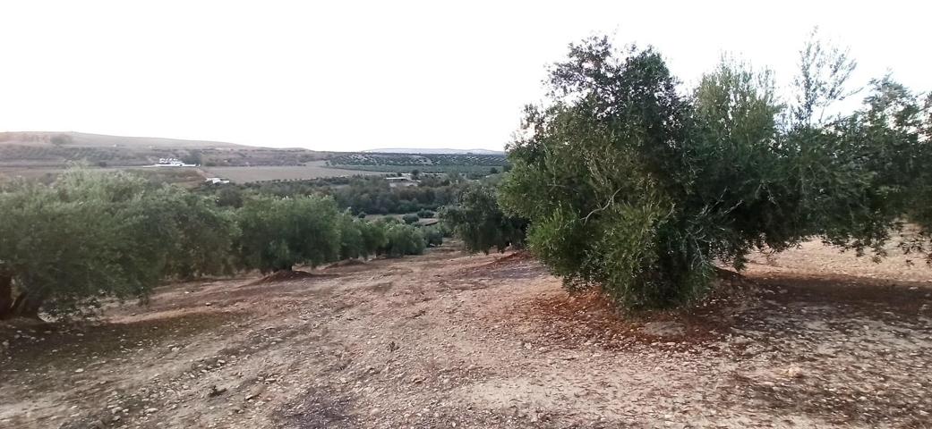 Terreno en Villatorres, al sitio Pozo de la Teja, Polígono 508 photo 0