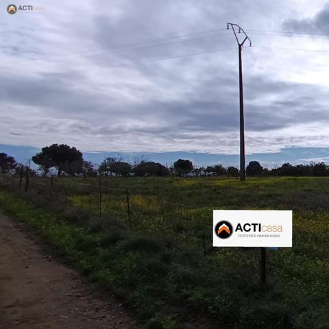TERRENO EN VENTA ENTRE SIERRA DE FUENTES Y TORREORGAZ. photo 0