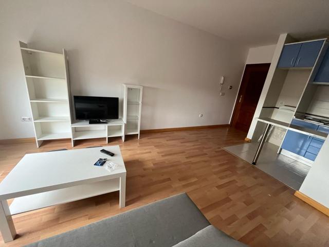 APARTAMENTO EN ALQUILER EN RONDA SUR photo 0