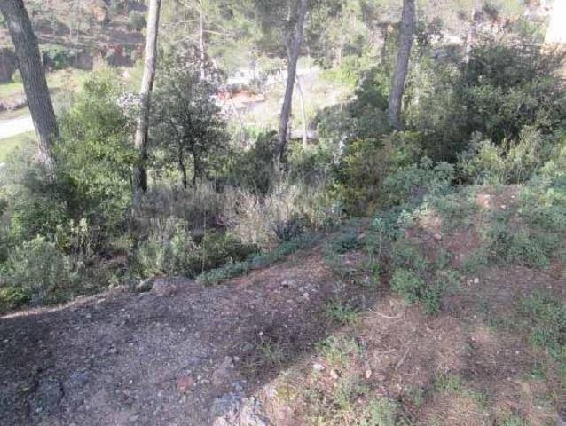 Parcela en Sant llorenç Savall photo 0