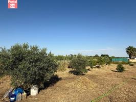 Parcela totalmente vallada en las Casas Aisladas de Gévora photo 0