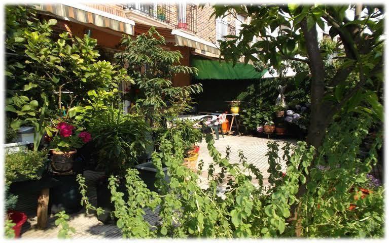 Piso dúplex ideal uso hostal. 141m2 viviendas+70m2 terraza. Vivienda principal+apartamento equipado+habitación baño ensuite. photo 0