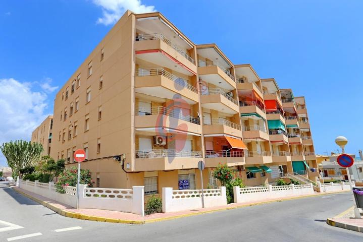 ¡ Gran oportunidad apartamento 3 dormitorios totalmente exterior a 80m. de la playa de Guardamar photo 0