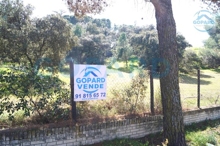 INMOBILIARIA GOPARD VENDE PARCELA EN LA URBANIZACIÓN EL BOSQUE photo 0