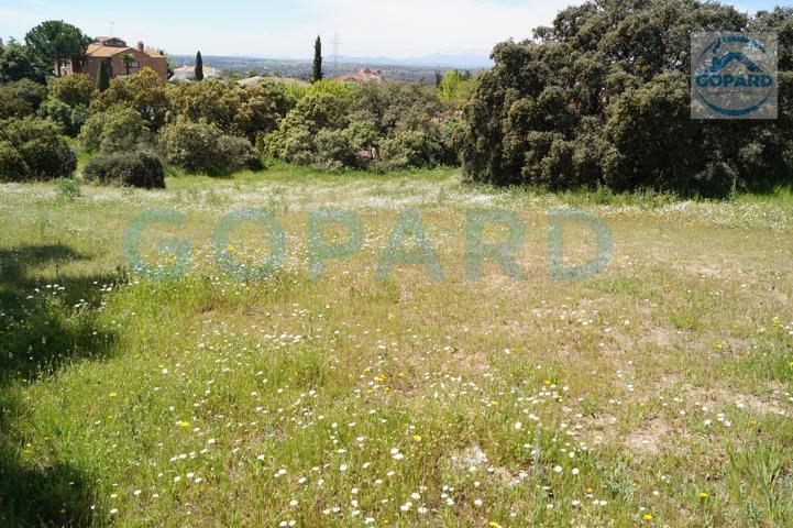INMOBILIARIA GOPARD VENDE PARCELA EN LA URBANIZACIÓN EL BOSQUE CON GRAN FACHADA Y PRECIOSAS VISTAS. photo 0