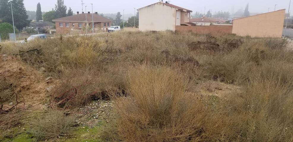 SE VENDE 2 PARCELAS JUNTAS DE 333 M2 SITUADAS EN PLA DE LA FONT photo 0