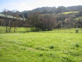 PRECIOSA FINCA SOLEADA EN PERVERA - CARREÑO, BUEN ACCESO, AGUA Y LUZ A PIE DE PARCELA. photo 0