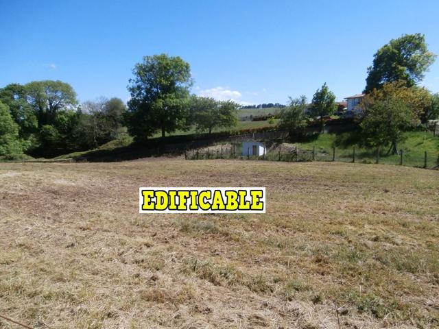 FINCA EDIFICABLE EN PINTUELES CERCA DE PILOÑA , SOLEADA ,LLANA, BUEN ACCESO¡¡TE LA FINANCIAMOS A INTERES 0!! photo 0