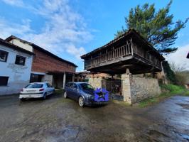 Casa En venta en Salas photo 0