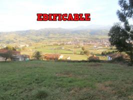Terreno Urbano en venta en Grado. photo 0