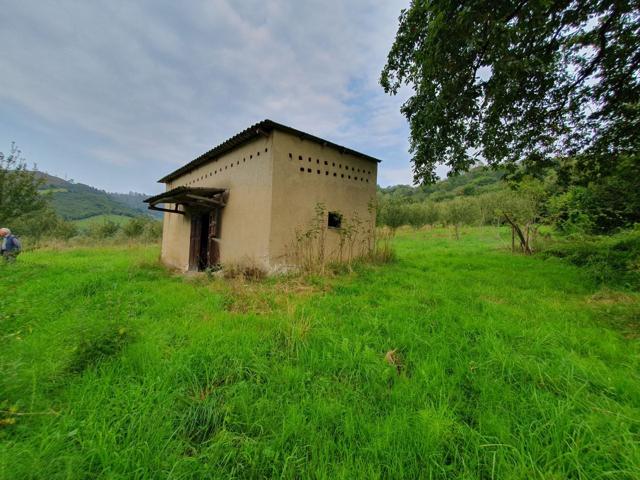 Finca en venta en Grado. photo 0