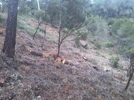 ' Terreno en venta en Vacarisses.'. photo 0