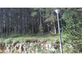 ' Terreno en venta en La Coma.' photo 0