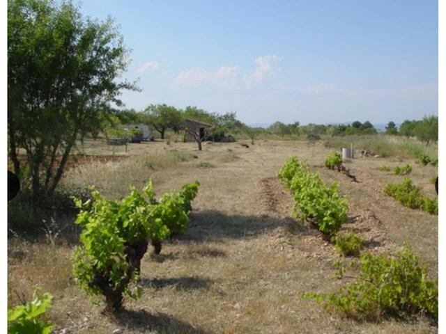 'Finca rustica en venta en Rasquera.' photo 0