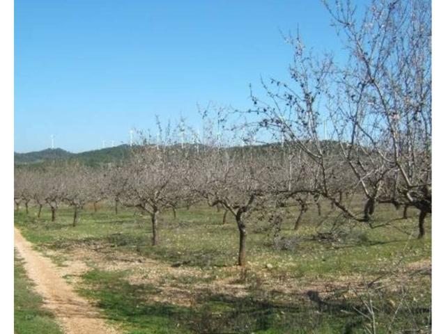 'Finca rustica en venta en Rasquera.' photo 0