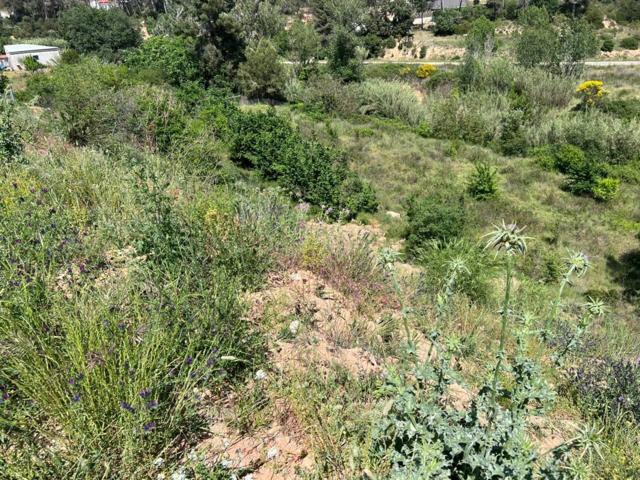 'Terreno en venta en Les Torres-Ca n''Alzamora.' photo 0
